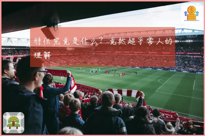 特供究竟是什么？竟然超乎常人的理解
