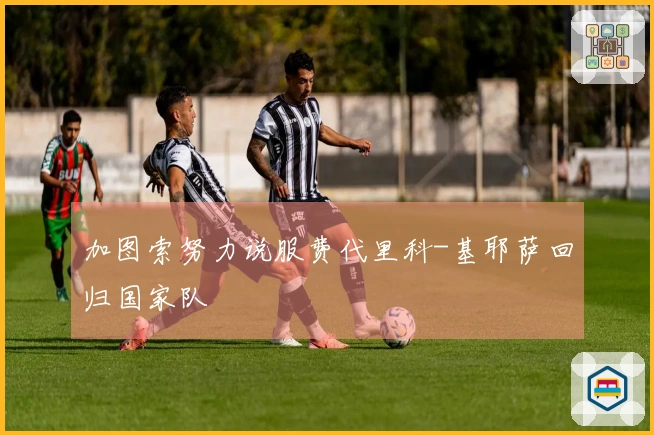 加图索努力说服费代里科-基耶萨回归国家队