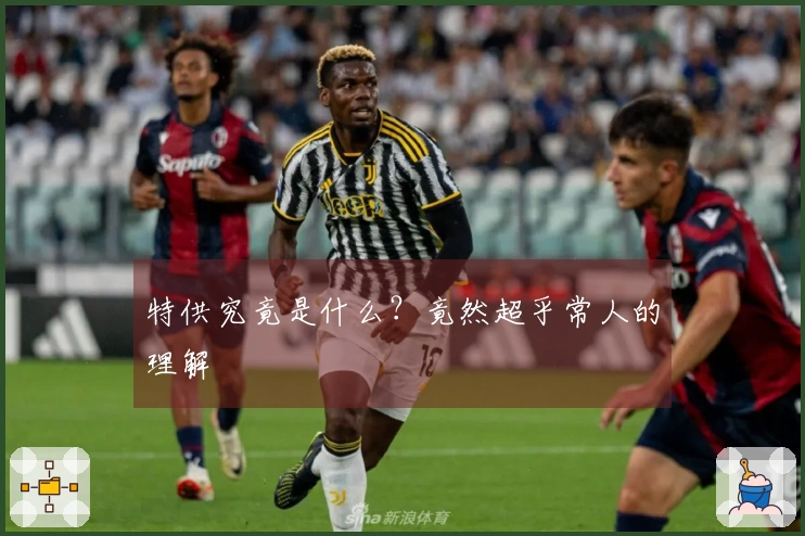 特供究竟是什么?竟然超乎常人的理解