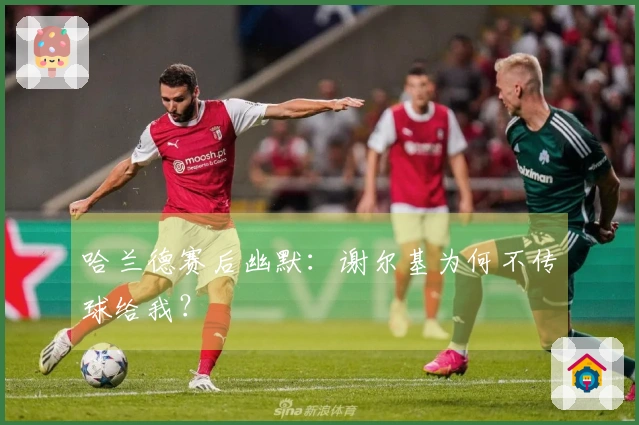 哈兰德赛后幽默：谢尔基为何不传球给我？